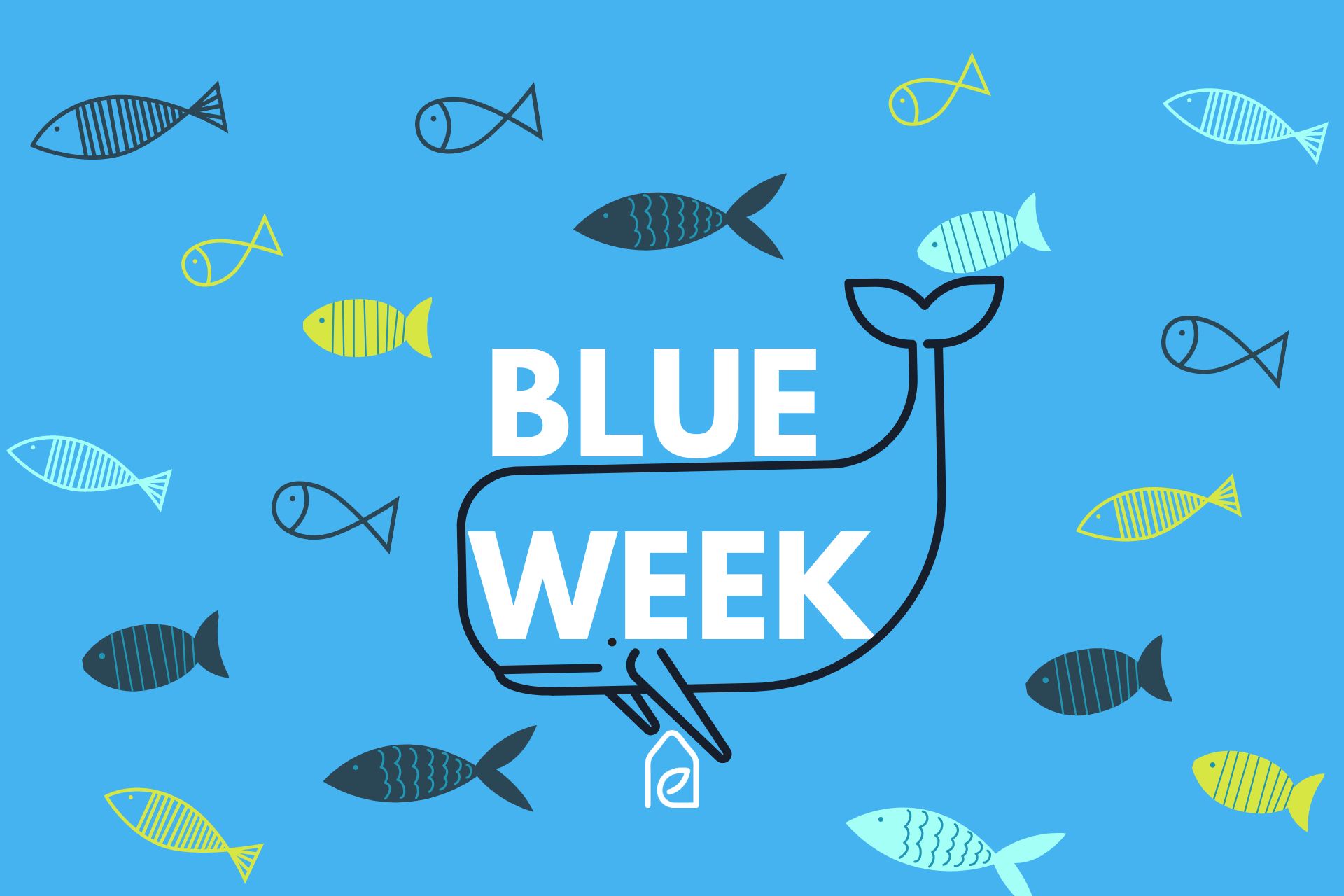 Frühlingserwachen auf Mallorca: Finitrip’s Blue Week