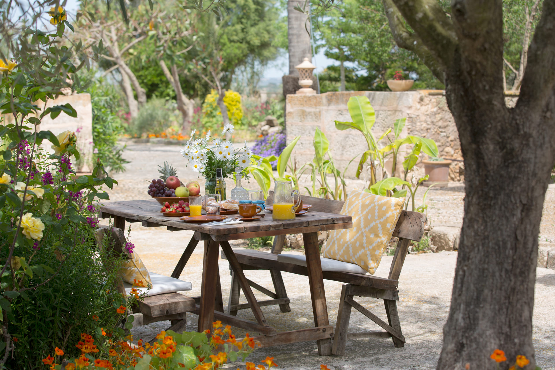 Was ist Agrotourismus? Entdecke authentische Ferien auf Mallorca mit Finitrip 